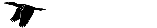 Faith's Law